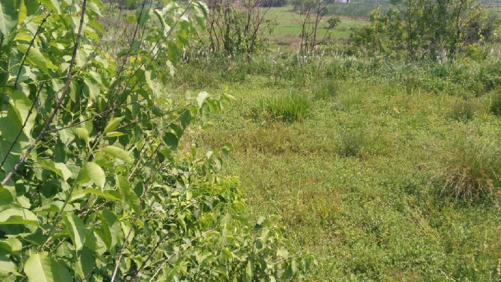 2017.05.22龙风山旧貌